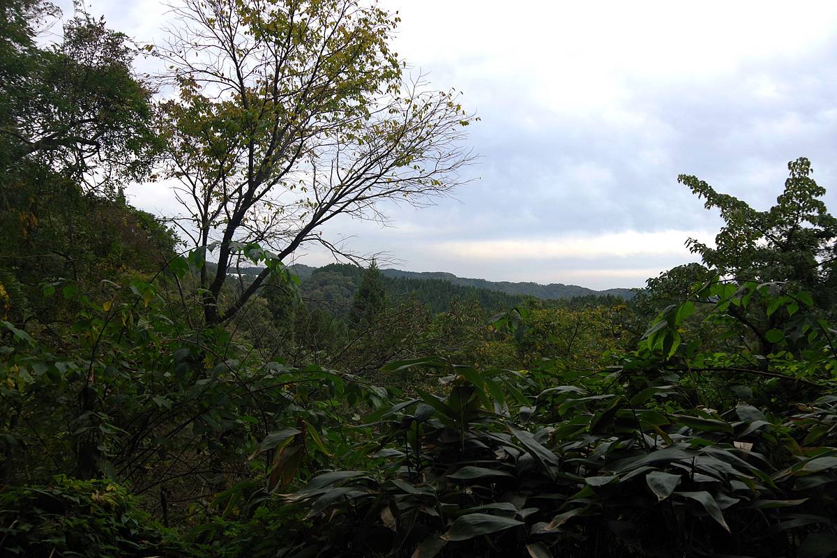 【山さ行がねが】ミニレポート第285回 富山県道285号西勝寺福野線 不通区間 前編