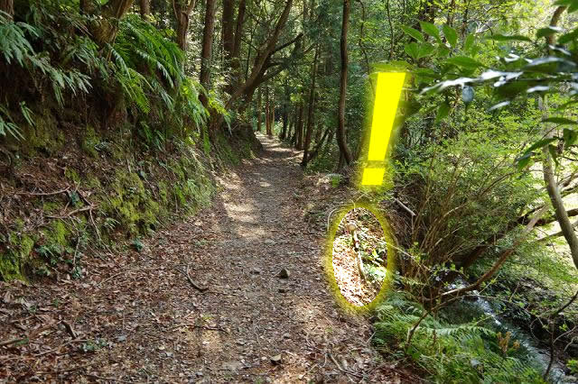 愛知県道368号豊川蒲郡線 灰野坂