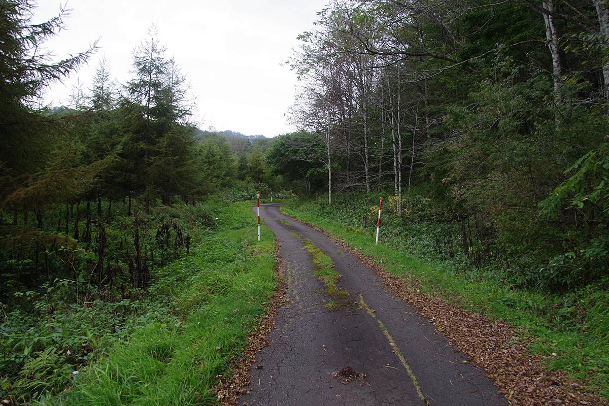 【山さ行がねが】道路レポート 北海道道987号豊似広尾線 カシュウンナイ～ラッコベツ 第1回