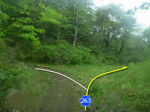 【山さ行がねが】道路レポート 宮城県道263号泉ケ丘熊ケ根線 根白石不通区