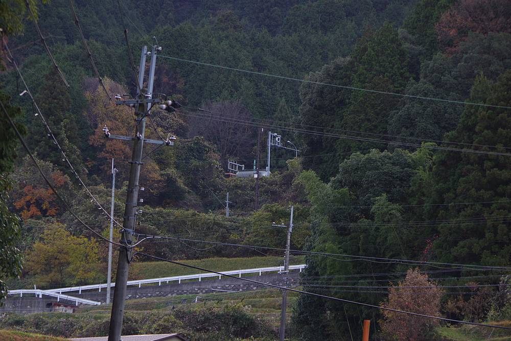【山さ行がねが】道路レポート 奈良県道187号福住上三橋線 不通区間 第1回