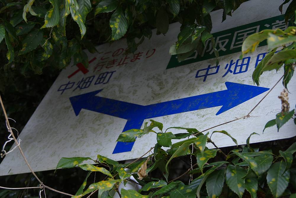 【山さ行がねが】道路レポート 奈良県道187号福住上三橋線 不通区間 第1回