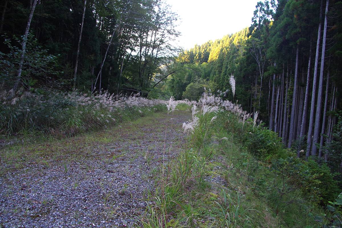 【山さ行がねが】道路レポート 国道257号三尾河バイパスの未成部 第3回