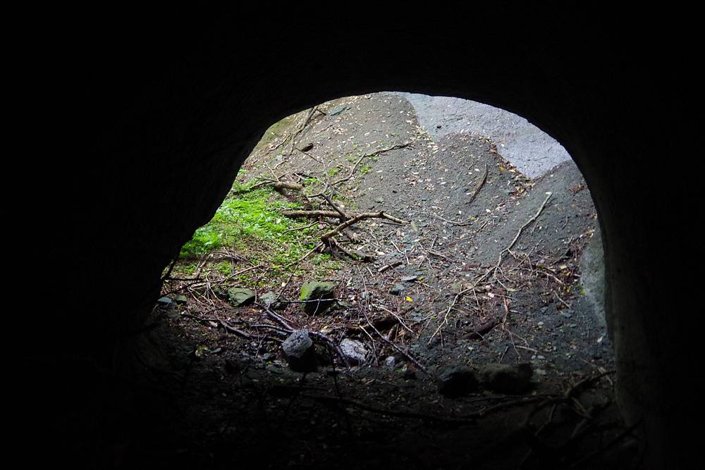 【山さ行がねが】道路レポート 国道485号 五箇トンネル旧道 第3回