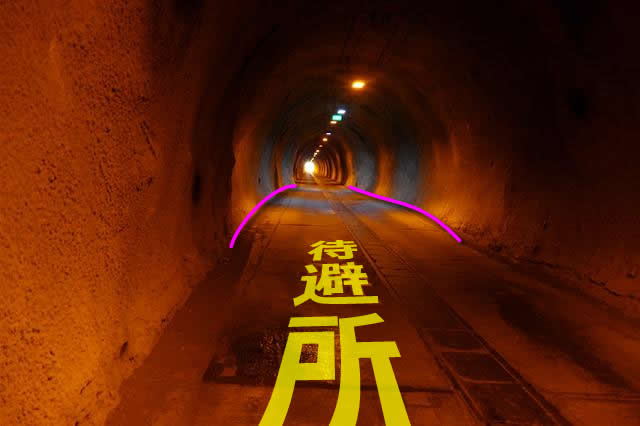 道路レポート　東京都道236号青ヶ島循環線 青宝トンネル旧道　第２回