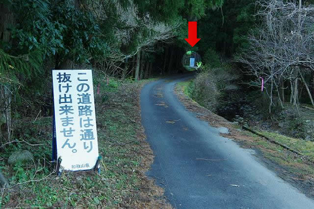 【山さ行がねが】道路レポート 和歌山県道213号 白浜久木線