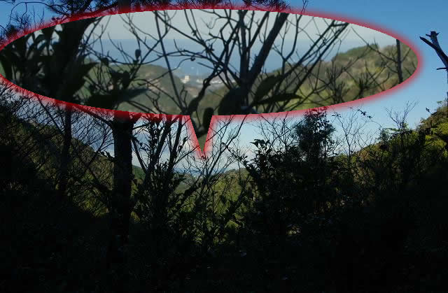 【山さ行がねが】道路レポート 和歌山県道213号 白浜久木線