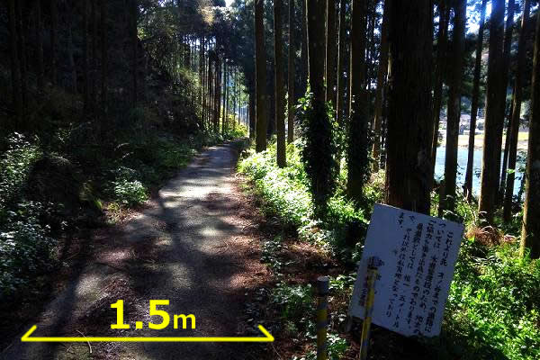 【山さ行がねが】道路レポート 和歌山県道228号高瀬古座停車場線 月野瀬不通区