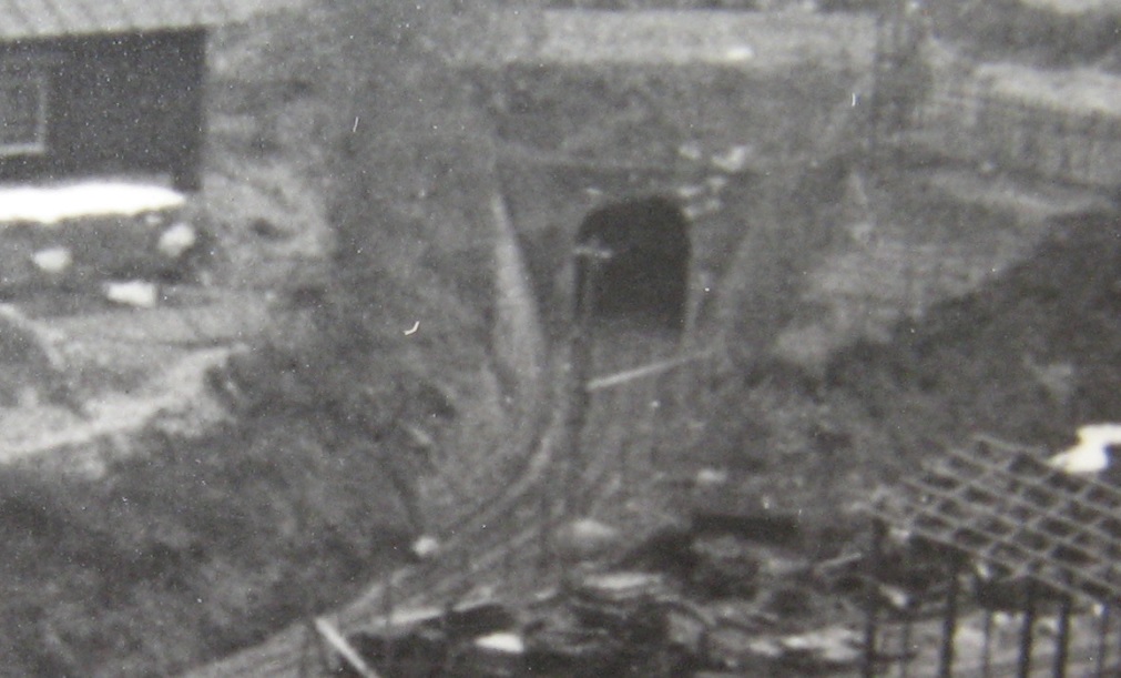 �_���S�� ���c�� (�摜�T�C�Y: 1011�~611 158kB)