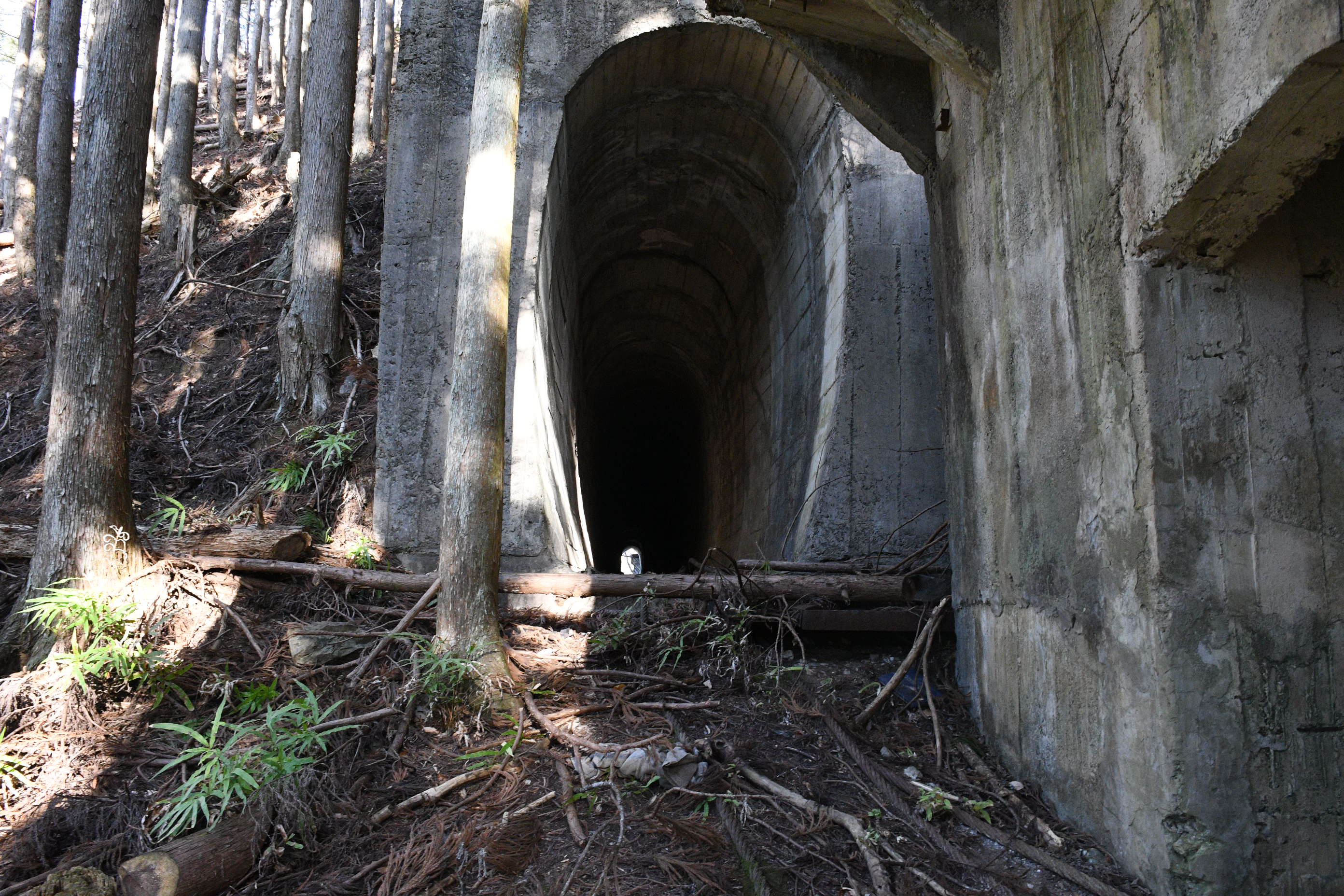 �������̍���詓� (�摜�T�C�Y: 2784�~1856 1.2MB)