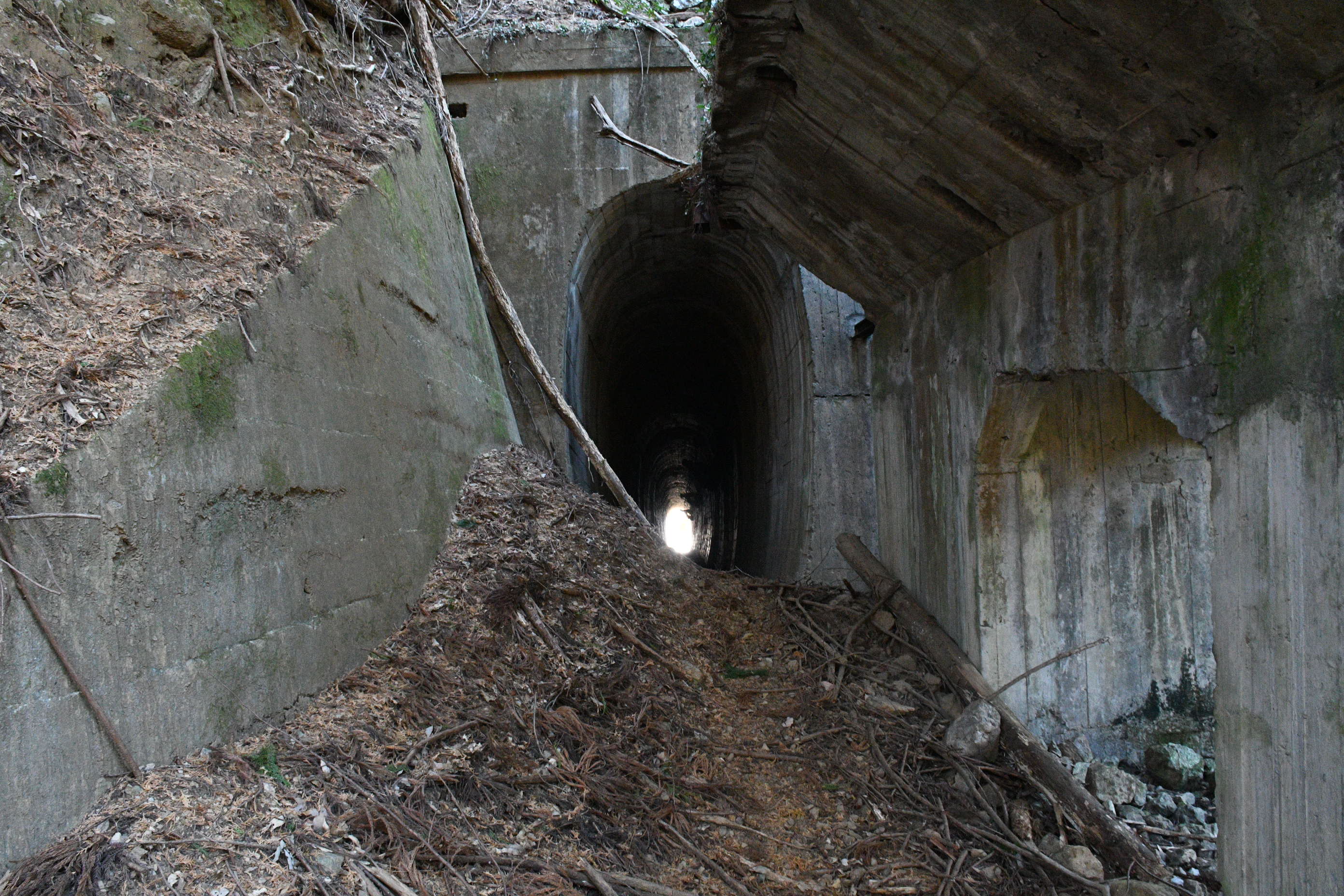 Re: �������̍���詓� (�摜�T�C�Y: 2784�~1856 1.2MB)