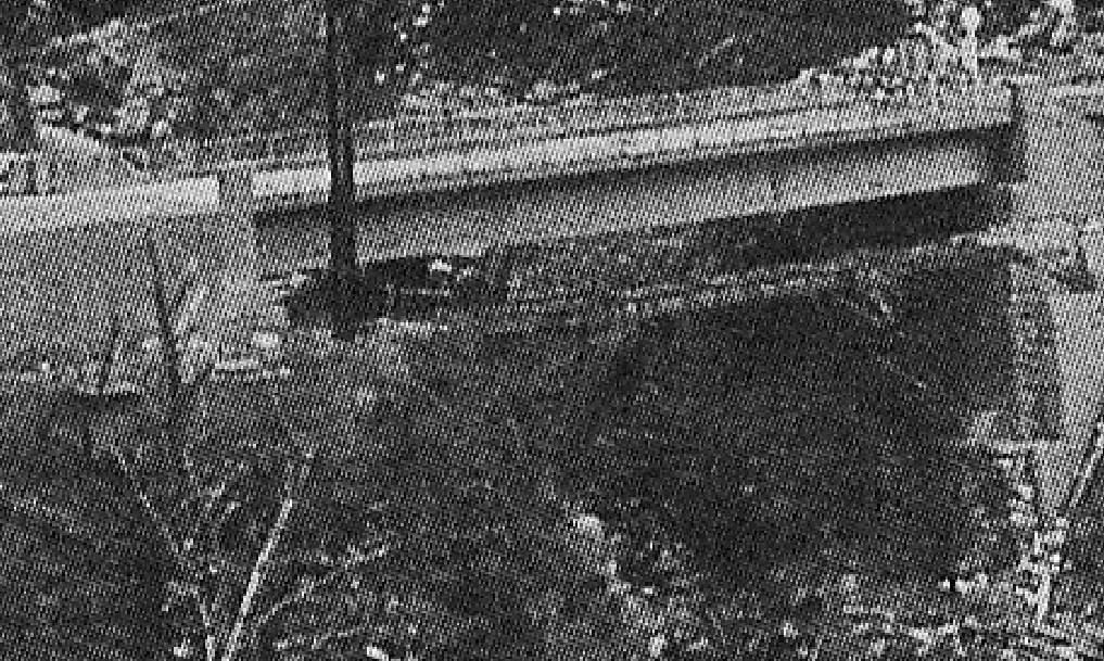 ���_���S�� (�摜�T�C�Y: 1017�~609 423kB)