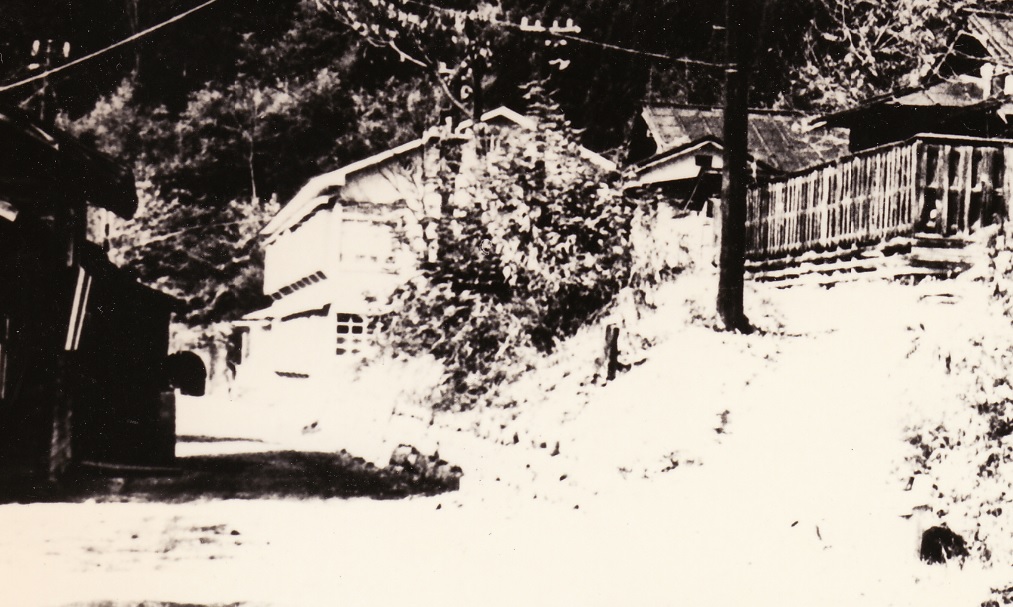 Re: �_���S�� ����詓� (�摜�T�C�Y: 1013�~607 220kB)