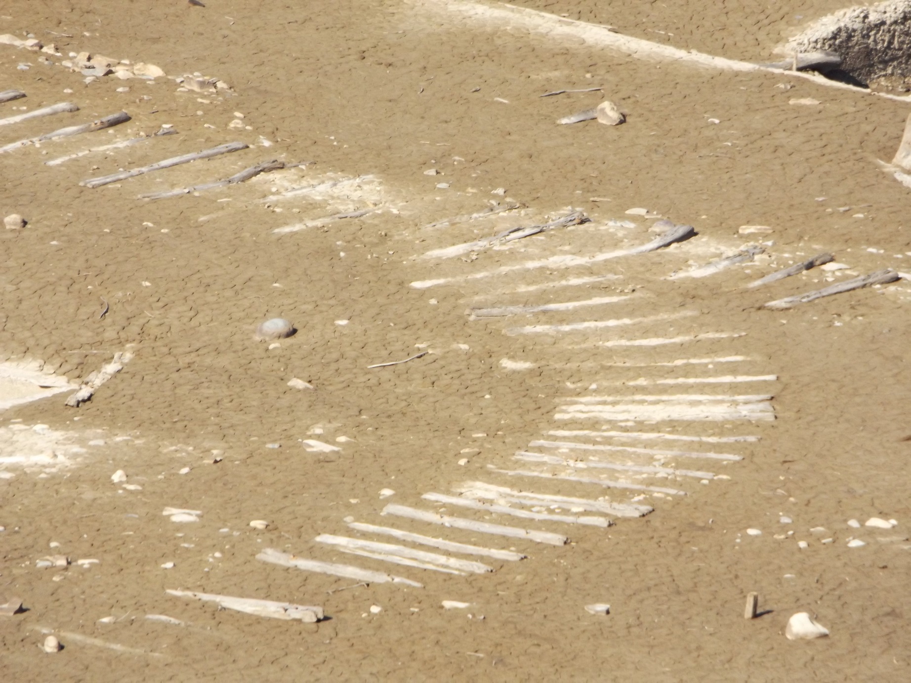 ������c�я����؏�� (�摜�T�C�Y: 1844�~1383 652kB)