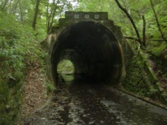 トンネルなんですが (画像サイズ: 240×180 21kB)